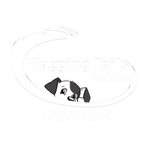 Image of an cause